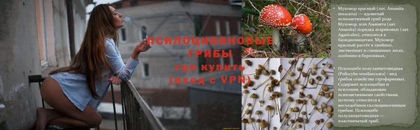 МДПВ Алексеевка